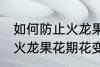 如何防止火龙果花期花变黄 怎样防止火龙果花期花变黄