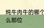 炖牛肉牛的哪个部位 炖牛肉牛选择什么部位