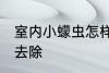 室内小蠓虫怎样去除 室内小蠓虫如何去除