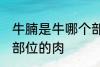 牛腩是牛哪个部位的肉 牛腩是牛什么部位的肉