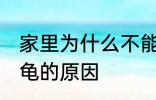 家里为什么不能养乌龟 家里不能养乌龟的原因
