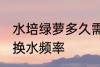 水培绿萝多久需要换一次水 水培绿萝换水频率