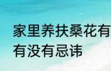 家里养扶桑花有忌讳吗 家里养扶桑花有没有忌讳