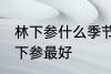 林下参什么季节吃最好 什么季节吃林下参最好
