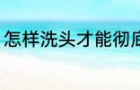 怎样洗头才能彻底洗干净 洗头的方法