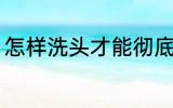 怎样洗头才能彻底洗干净 洗头的方法