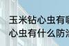 玉米钻心虫有哪些防治小技巧 玉米钻心虫有什么防治小技巧