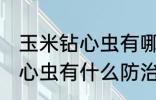 玉米钻心虫有哪些防治小技巧 玉米钻心虫有什么防治小技巧