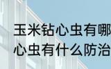 玉米钻心虫有哪些防治小技巧 玉米钻心虫有什么防治小技巧