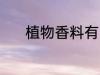 植物香料有哪些 植物香料介绍
