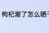 枸杞潮了怎么晒干 枸杞潮了如何晒干