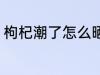 枸杞潮了怎么晒干 枸杞潮了如何晒干