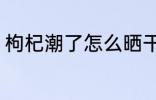 枸杞潮了怎么晒干 枸杞潮了如何晒干