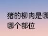 猪的柳肉是哪个部位 柳肉在猪身上的哪个部位