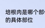 培根肉是哪个部位的肉 培根肉位于猪的具体部位