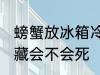 螃蟹放冰箱冷藏会死吗 螃蟹放冰箱冷藏会不会死
