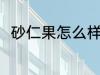 砂仁果怎么样晒干 砂仁果如何晒干