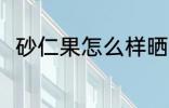 砂仁果怎么样晒干 砂仁果如何晒干