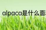 alpaca是什么面料 alpaca面料介绍