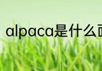 alpaca是什么面料 alpaca面料介绍