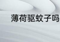 薄荷驱蚊子吗 薄荷可以驱蚊子吗