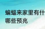 蝙蝠来家里有什么预示 蝙蝠来家里有哪些预兆