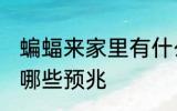 蝙蝠来家里有什么预示 蝙蝠来家里有哪些预兆