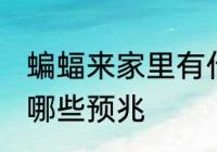 蝙蝠来家里有什么预示 蝙蝠来家里有哪些预兆