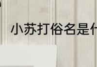 小苏打俗名是什么 小苏打俗名介绍