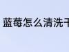 蓝莓怎么清洗干净 蓝莓怎么清洗干净