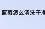 蓝莓怎么清洗干净 蓝莓怎么清洗干净