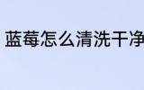 蓝莓怎么清洗干净 蓝莓怎么清洗干净