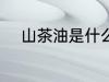 山茶油是什么做的 什么是山茶油