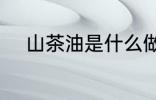 山茶油是什么做的 什么是山茶油