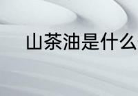山茶油是什么做的 什么是山茶油