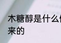 木糖醇是什么做的 木糖醇是什么做出来的