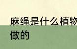 麻绳是什么植物做的 麻绳是哪些植物做的