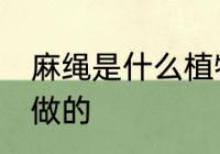 麻绳是什么植物做的 麻绳是哪些植物做的
