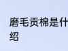 磨毛贡棉是什么面料 关于磨毛贡棉介绍