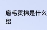 磨毛贡棉是什么面料 关于磨毛贡棉介绍