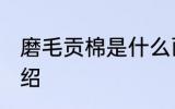 磨毛贡棉是什么面料 关于磨毛贡棉介绍