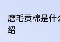磨毛贡棉是什么面料 关于磨毛贡棉介绍