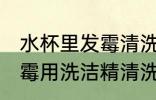 水杯里发霉清洗过后还能用吗 杯子发霉用洗洁精清洗后能直接使用吗