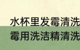 水杯里发霉清洗过后还能用吗 杯子发霉用洗洁精清洗后能直接使用吗