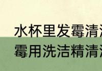水杯里发霉清洗过后还能用吗 杯子发霉用洗洁精清洗后能直接使用吗