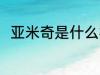 亚米奇是什么材质 亚米奇简单介绍