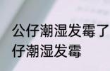 公仔潮湿发霉了怎么洗掉 如何解决公仔潮湿发霉