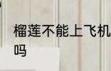 榴莲不能上飞机吗 榴莲是不能上飞机吗