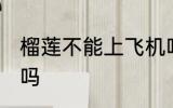 榴莲不能上飞机吗 榴莲是不能上飞机吗