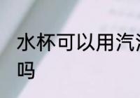 水杯可以用汽油洗吗 水杯能用汽油洗吗